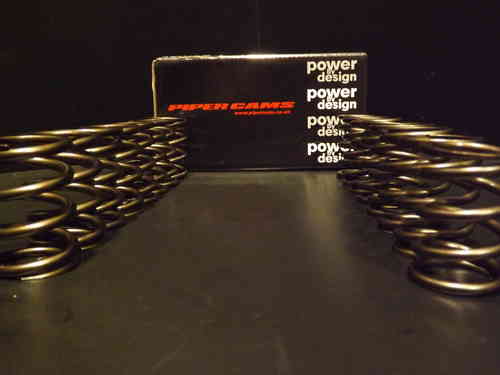 Z20 Piper Uprated fast road valve springs