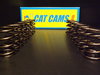 Z20 Cat Cams Single Springs