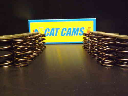 Cat Cams Double Springs + Cat Retainers